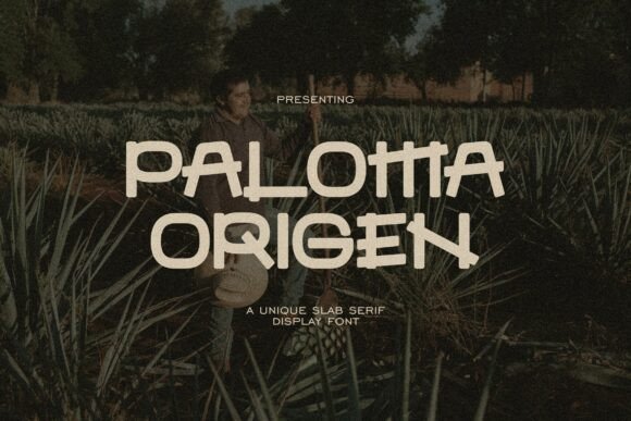 Paloma Font: A Display Typeface for Modern Web Design